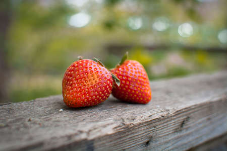 Strawberries on a wooden fence