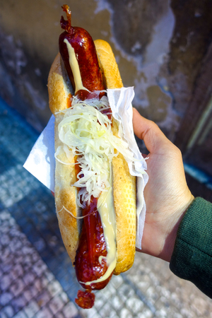 Barbecue grilled hot dog with yellow mustard and onion (Street food)の写真素材