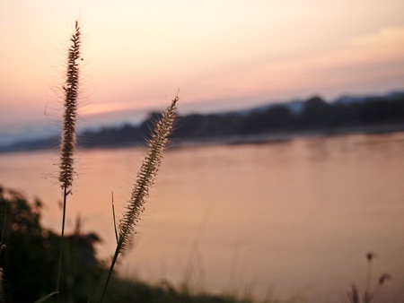Mekong River , a stream separates international Thai and Laosの写真素材