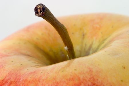 Close-up of the top of an apple, with the main focus on the stem.の写真素材