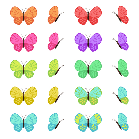 Colored butterflies isolated on white background. Flat butterfly setの写真素材