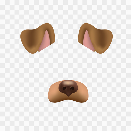 Dog face mask for video chat isolated on checkered background. Animal character ears and nose. 3d filter effect for selfie photo decoration. Brown dog elementsの写真素材