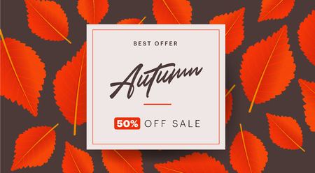 Autumn background layout decorate with leaves for shopping sale or promo poster and frame leaflet or web banner. Vector illustration templateのイラスト素材