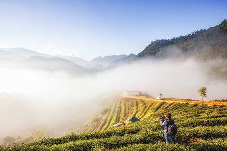 Photographer taking photo of morning mist and Tea plantation in Winter at Doi Ang Khang Mountain ,...