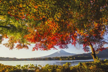 Fuji Mountain Reflection and Red Maple Leaves with Morning Mist in Autumn, Kawaguchiko Lake, Japanの写真素材