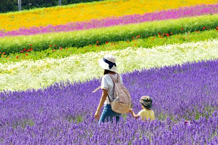Woman and Child Tourists enjoy sightseeing Colourful Flower and Lavender Field at Tomita Farm in Summer, furano, Hokkaido, Japanの写真素材