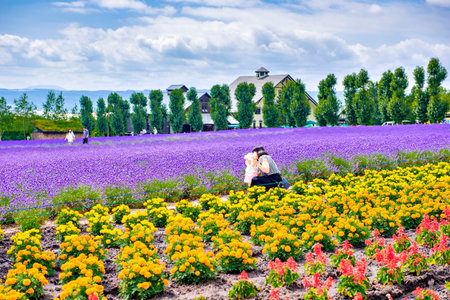 Japan - November 14, 2019 : A female tourist and child enjoy sightseeing colorful flower and lavender garden in summer at Tomita Farm, Furano, Hokkaidoのeditorial素材
