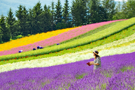Japan - July 14, 2019 :A Female Tourist enjoy sightseeing colorful flower and lavender garden in summer at Tomita Farm, Furano, Hokkaidoのeditorial素材