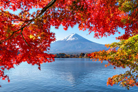 Fuji Mountain Reflection with Morning Mist and Red Maple Leaves in Autumn at Kawaguchiko Lake, Japanの写真素材
