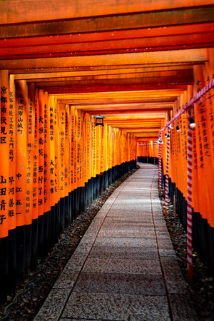 Japan - July 15, 2019 : Hundreds of Torii Gate Tunnel carving with the name of donators at Fushimi Inari Shrine, Fushimi, Kyotoのeditorial素材