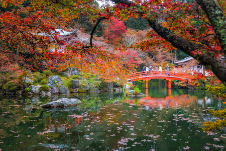 Japan - November 21, 2019 : Tourists enjoy sightseeing colorful maple trees garden in autumn at Daigoji Temple, Kyooのeditorial素材