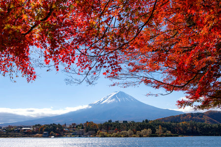 Fuji mountain and Red Maple Tee in autumn at Kawaguchiko Lake, Japanの写真素材