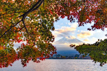 Fuji mountain and Colorful maple leaves in autumn sunset, Kawaguchiko Lake, Japanの写真素材