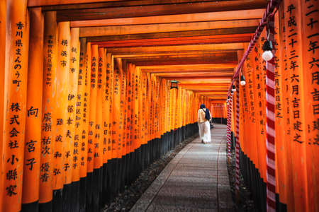 Japan - July 15, 2019 : Hundreds of Torii Gate Tunnel carving with the name of donators at Fushimi Inari Shrine, Fushimi, Kyotoのeditorial素材