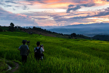 Thailand - July13, 2019 : Photographers taking scenic landscape of Rice Field in Rainy season at Sunset, Pa Bong Piang Hill Tribe Village, Mae Chaem, Chiang Maiのeditorial素材