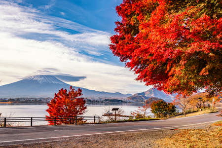 Fuji Mountain with Lenticular cloud and Red Maple Leaves in Autumn at Kawaguchiko Lake, Japanの写真素材