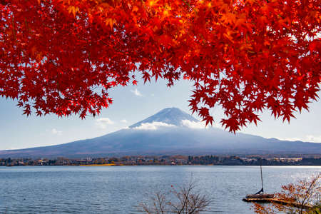 Fuji Mountain Red Maple Leaves in Autumn, Kawaguchiko Lake, Japanの写真素材
