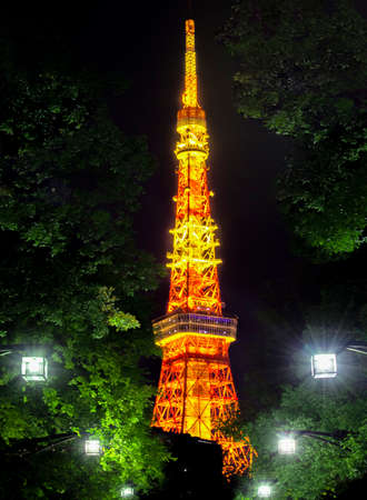 Illumination of Tokyo Tower at Night, Shiba Park, Tokyo, Japanのeditorial素材