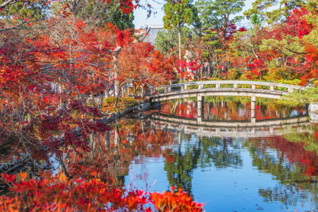 Red Maple Trees in Garden of Eikando Temple in Autumn, Kyoto, Japanのeditorial素材