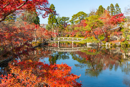 Japan - NOvember 22, 2020 : Scenic landscape of Eikando Temple with Red Maple Trees blooming vividly in Autumn, Kyotoのeditorial素材