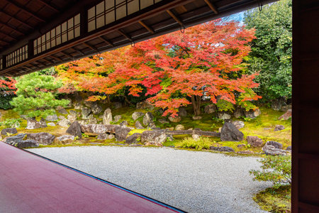 Japan - November 21, 2019 : Colorful Maple Leaves blooming vividly in autumn at Entokuin Temple, Kyotoのeditorial素材