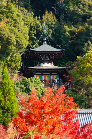 Japan - November 22, 2019 : Japanese Style Wooden Pagoda called Tahoto Pagoda located on the hillside in the garden of Eikando Temple in autumn, Kyotoのeditorial素材