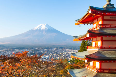 Japan - November 2, 2019 : Chureito Pagoda among Colorful Sakura Trees Garden of Arakura Sengen Blooming vividly in autumn with Fuji mountain Background, Fujiyoshidaのeditorial素材