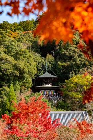 Japan-November 23,2019: Tourists enjoy sightseeing colorful maple tree garden in autumn from Tahoto pagoda at Eikando temple,Kyotoのeditorial素材