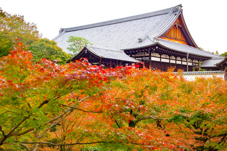 Japan - November 25, 2019 : Japanese Style Wooden Pavilion and Colorful Maple Tree in Zen Style Garden of Tofukuji Temple in autumn , Kyoto, Japanのeditorial素材