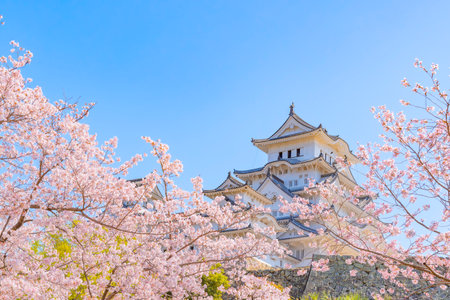 Japan - April 3, 2023 : Himeji Castle with Pink Sakura Branches in Springtime, Himeji, Hyogoのeditorial素材