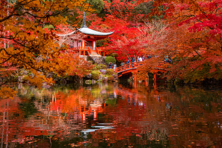 Japan - November 12, 2023 : Tourists enjoy sightseeing colorful maple trees   in the garden of Daigoji Temple in autumn with Bentendo Hall background, Kyotoのeditorial素材