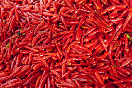 Fresh red hot chillies in marketの写真素材