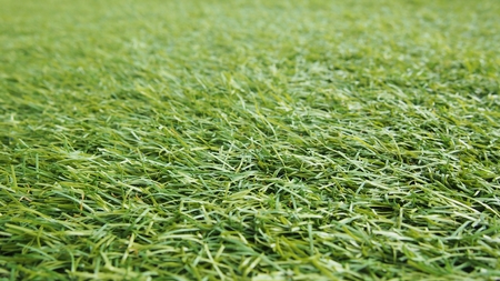 Green artificial grass texture and background, selective focus.の写真素材
