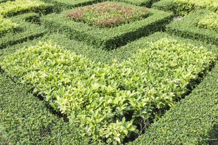 Small Gardenの写真素材