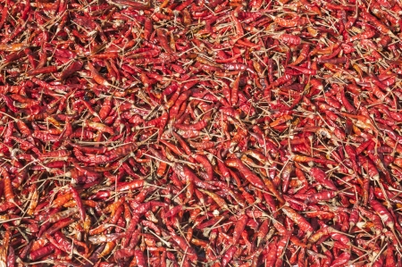 Dry Chilliの写真素材