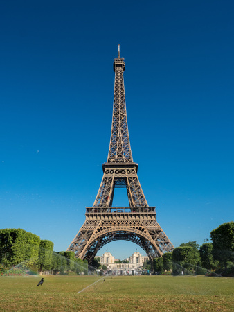 Eiffel Tower in public garden behind green yard under clear summer sky.の写真素材