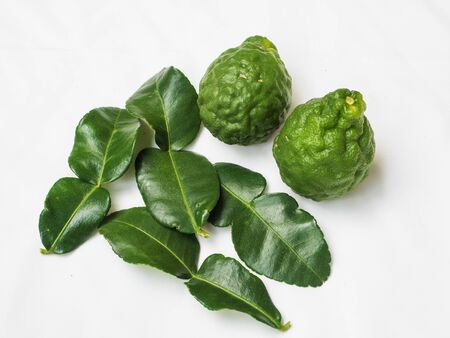 Bergamot and leaf from organic farmの写真素材