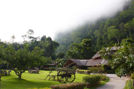  Khao Sok National Parkの写真素材