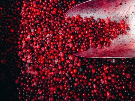 A lot of frozen red currants. Texture, background.の写真素材