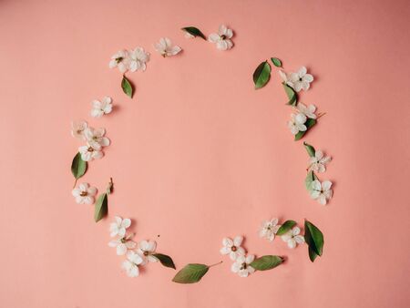 Frame with cherry blossoms, spring flower background, top view, flat lay, frame, copy space.の写真素材
