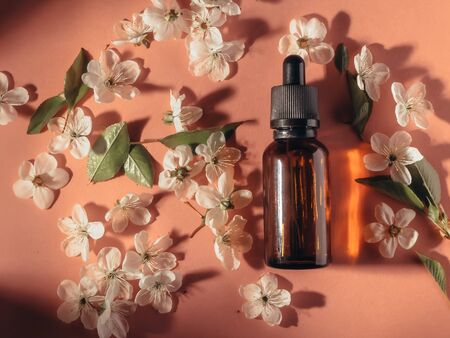 Glass bottles with oil, perfume on a pink background with blooming cherry. Flat lay, minimalism. Cosmetical tools.の写真素材