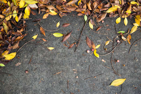 Textures in Autumnの写真素材