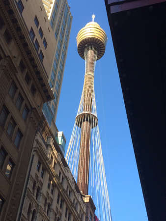 Sydney tower 