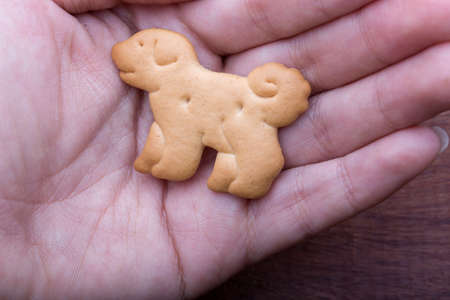 A conceptual photography indicated that dog?s life depending on human (or owners)の写真素材