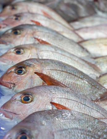 Close up of Fresh Fish on ice at the fish market, shallow depth of fieldの写真素材