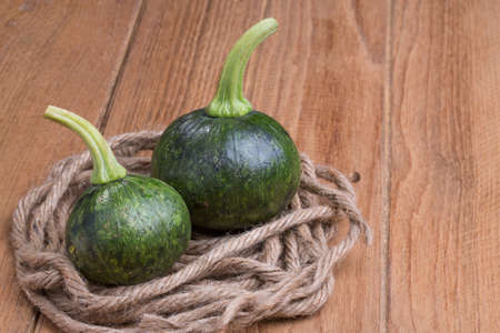 Green Pumpkins on the rope at the wood table on the rope at the wood tableの写真素材