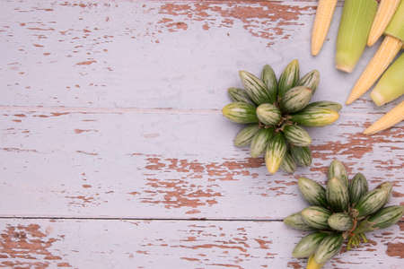 Top View of Baby Corn and eggplants on wood table background