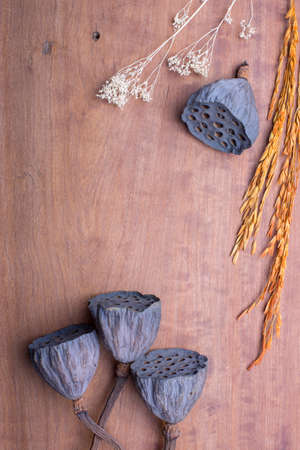 Top view of Dried lotus flowers on wood tableの写真素材