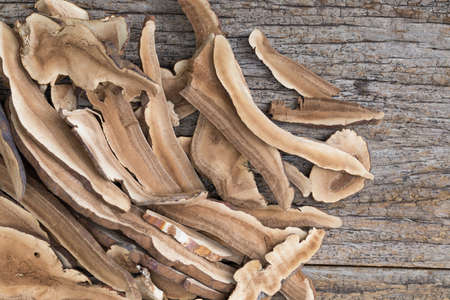 Dried lingzhi mushroom, Chinese traditional medicine on wooden tableの写真素材