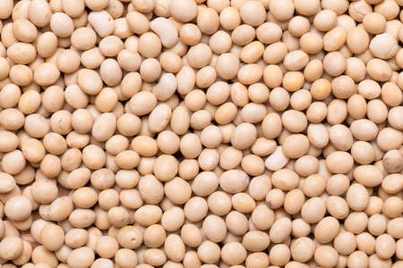Top view and close up shot of Soy Bean or Soya Bean, food backgroundの写真素材